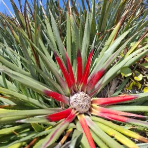 Neue Stärke gewinnen auf dem Kinderwunschweg