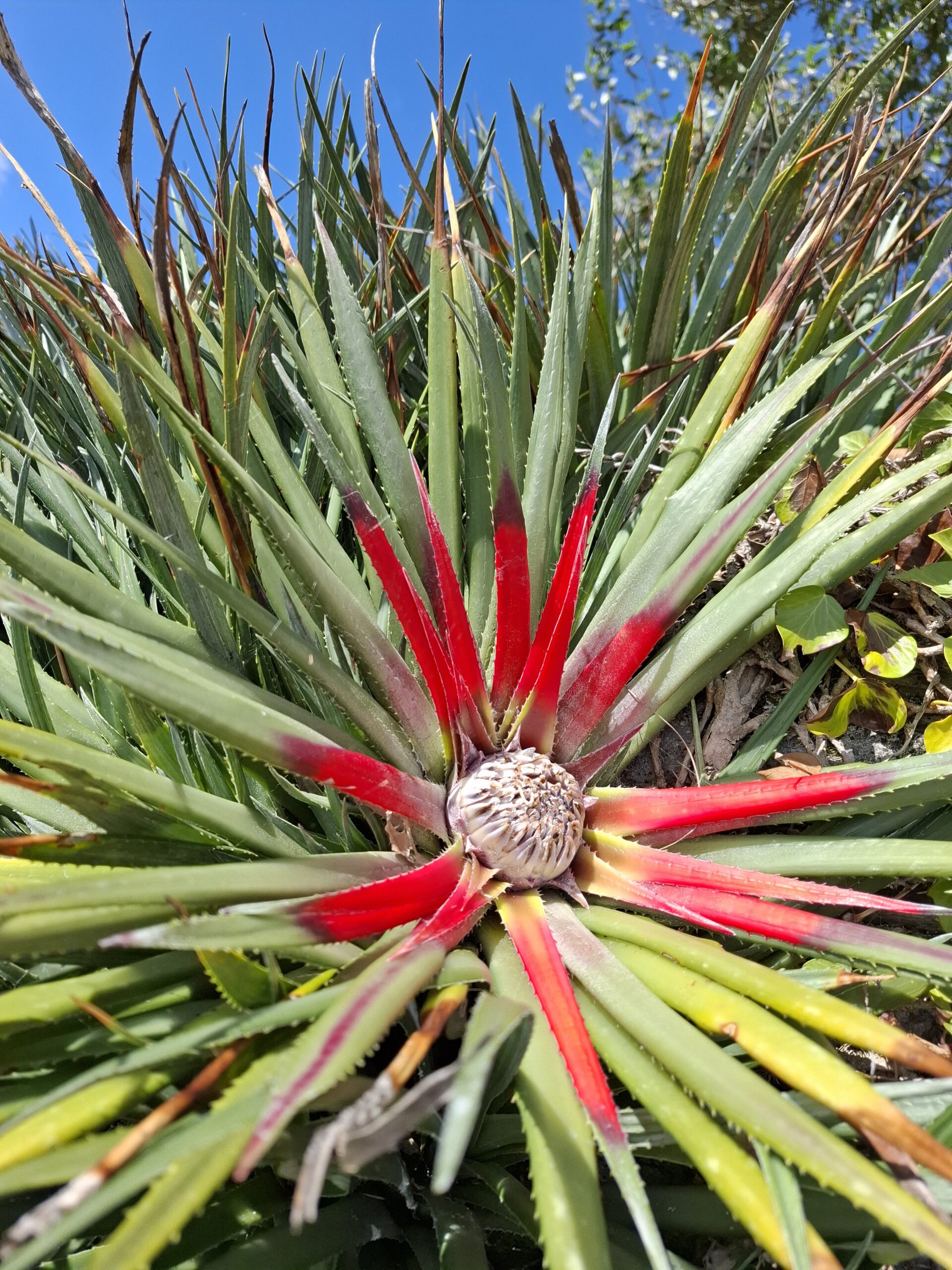 Vertrauen finden im Kinderwunsch